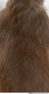 monkey skin fur  0013